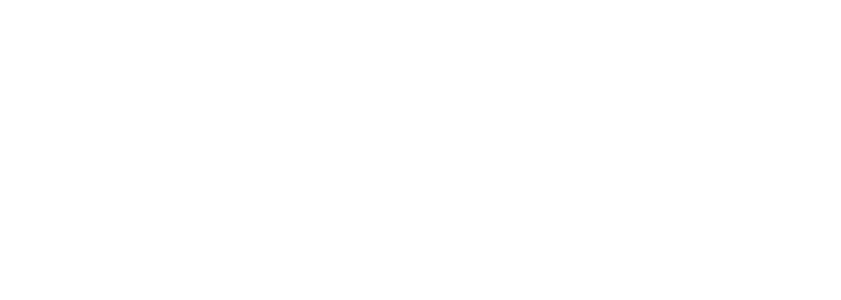 DCS Logo